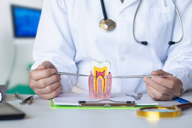 Best Mobile Emergency Dentist in St Ignace, MI
